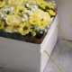 Floxbox Gelb sind frische Blumen in der Kartonbox. Trendy, frech, exklusiv und innovativ.