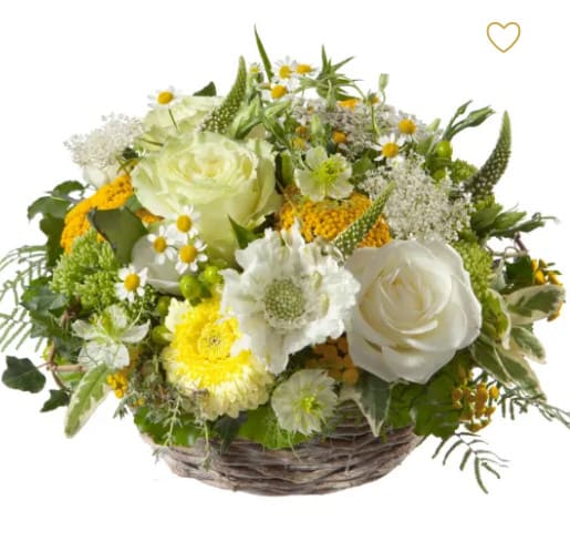 Sonnige Tage gesteckter Korb mit Rosen, Germini, Margriten, Alchemilla, Achillea, feines Grün, Sommerflor Sonnige Tage gesteckter Korb mit Rosen, Germini, Margriten, Alchemilla, Achillea, feines Grün, Sommerflor