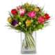 Bunter Tulpenstrauss bei Blumen Bern Ackermann online bestellen, heute bis 13:30 bestellen und am selben Tag geliefert.