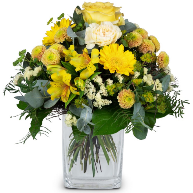 Sunny Vibes Strauss in gelb mit Rosen, Nelken, Germini, Alstromeria, Chrysanthemen Sunny Vibes Fr. 46.00/62.00/86.00 Strauss in gelb mit Rosen, Nelken, Germini, Alstromeria, Chrysanthemen
